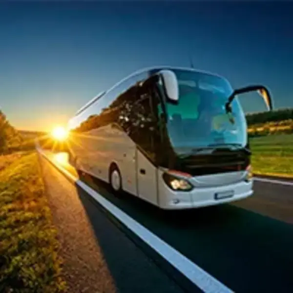 Excursii cu autocar